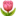 🌷